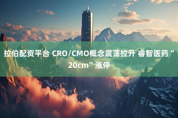 拉伯配资平台 CRO/CMO概念震荡拉升 睿智医药“20cm”涨停